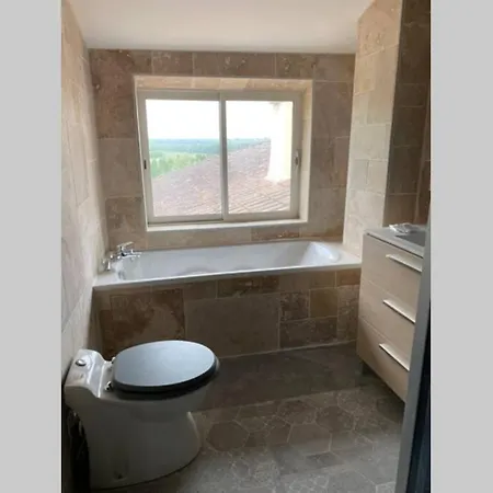 Maison Viticole Renovee * Casseuil
